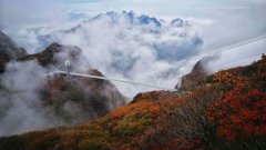 沁园春 韵和凤舞