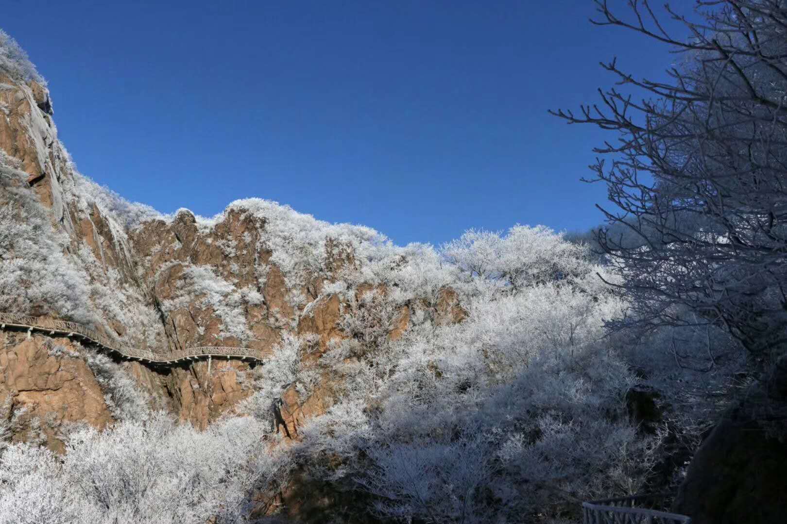 每日一景|辽宁丹东凤凰山：朝霞灿成绮 青山偎云-中国丹东凤凰山